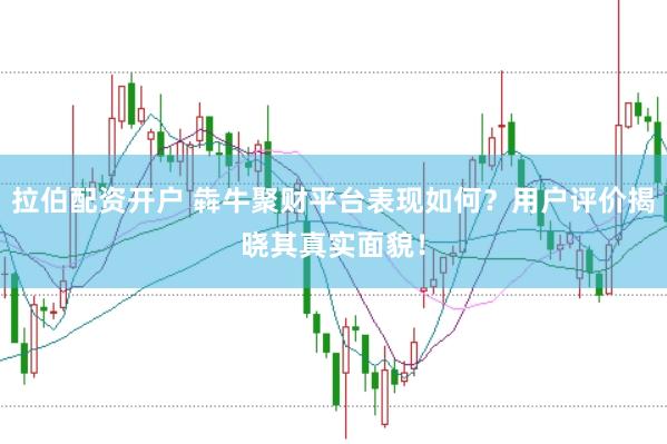 拉伯配资开户 犇牛聚财平台表现如何？用户评价揭晓其真实面貌！
