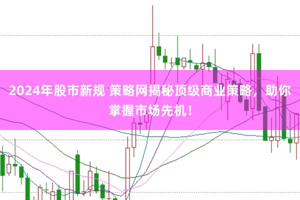 2024年股市新规 策略网揭秘顶级商业策略，助你掌握市场先机！