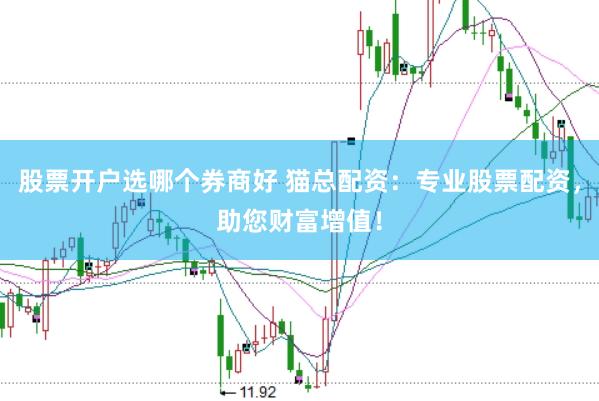股票开户选哪个券商好 猫总配资：专业股票配资，助您财富增值！