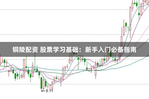 铜陵配资 股票学习基础：新手入门必备指南