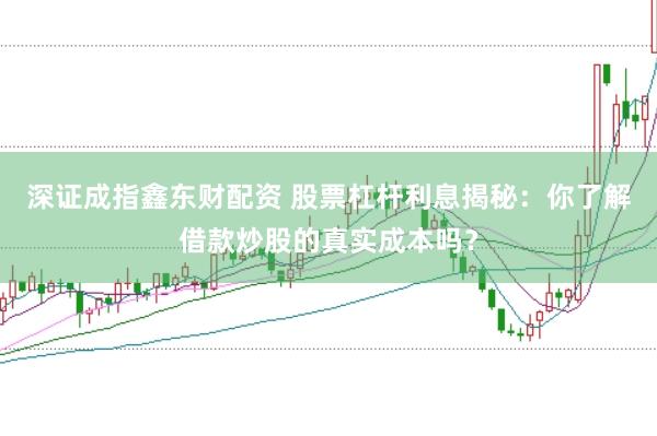 深证成指鑫东财配资 股票杠杆利息揭秘：你了解借款炒股的真实成本吗？