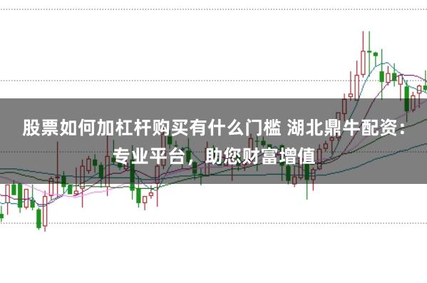 股票如何加杠杆购买有什么门槛 湖北鼎牛配资：专业平台，助您财富增值