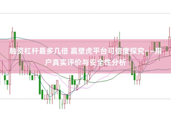 融资杠杆最多几倍 赢壁虎平台可信度探究——用户真实评价与安全性分析