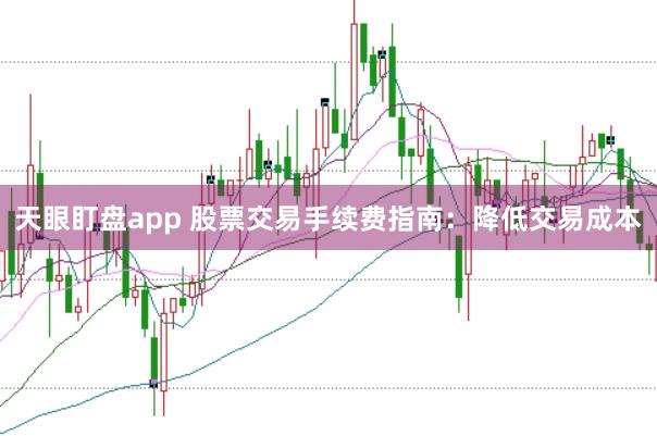天眼盯盘app 股票交易手续费指南：降低交易成本