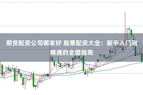 期货配资公司哪家好 股票配资大全：新手入门到精通的全面指南