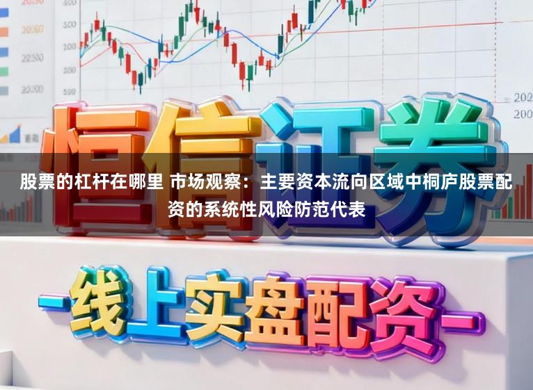 股票的杠杆在哪里 市场观察：主要资本流向区域中桐庐股票配资的系统性风险防范代表