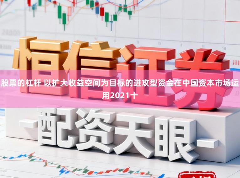 股票的杠杆 以扩大收益空间为目标的进攻型资金在中国资本市场运用2021十